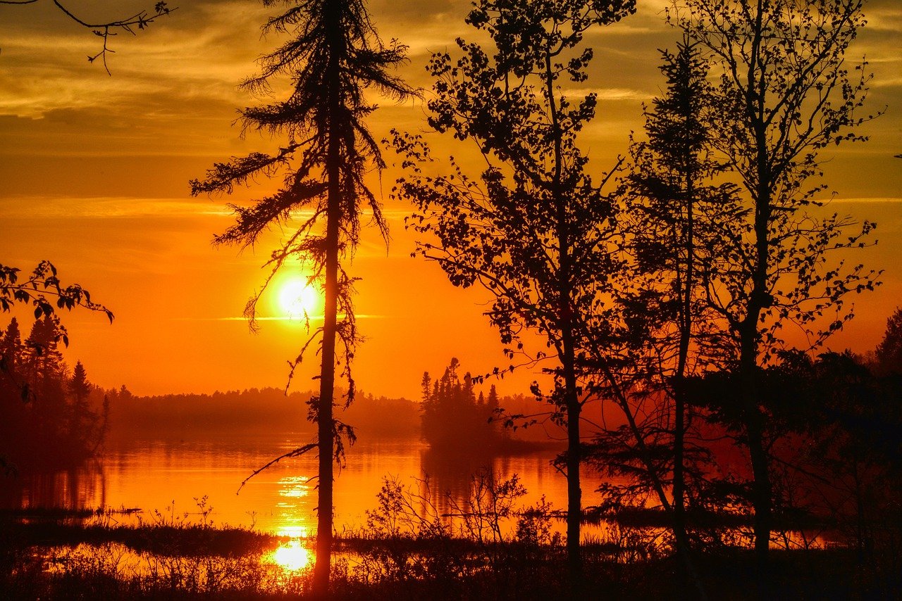 Biodiversity on the Edge: What Can We Do to Protect It?